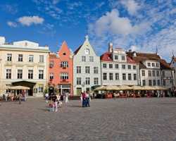 Виза в Эстонию: виды виз и документы для их оформления, сроки оформления и стоимость, причины отказа